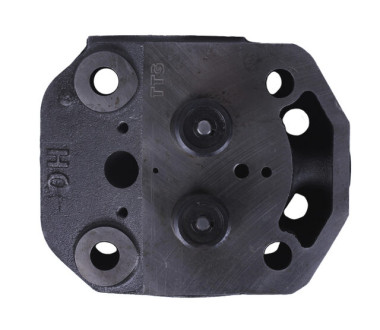 Головка циліндра в зборі ZUBR (на мототрактор під форсунку діаметр 21 мм) - 195N - TTG