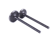 Клапани, к-т: 2 шт. тип 2 - ZUBR