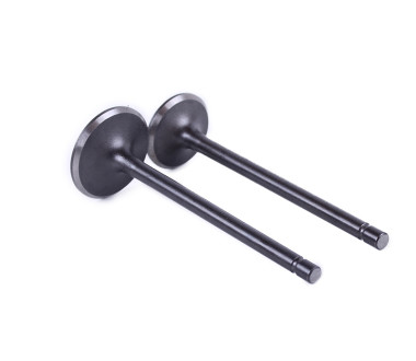 Клапани, к-т: 2 шт. тип 2 - ZUBR