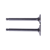 Клапани, к-т: 2 шт. тип 2 - ZUBR