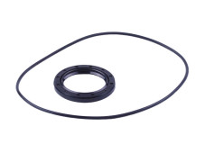 Сальник + ущільнювач пластини зчеплення - Дельта/Альфа