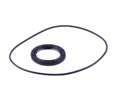 Сальник + ущільнювач пластини зчеплення - Дельта/Альфа