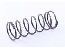 Пружина заднього варіатора - Lead 90