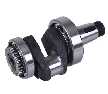 Колінвал у зборі (підшипники 6310/6210, шестерня) – 180N Y-BOX