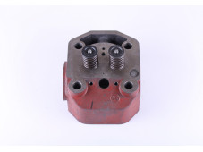 Головка циліндра у зборі ZUBR (на мототрактор під форсунку діаметр 21 мм) - 195N