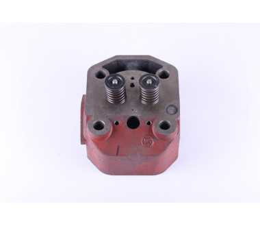 Головка циліндра у зборі ZUBR (на мототрактор під форсунку діаметр 21 мм) - 195N