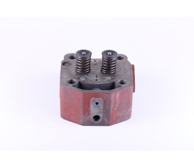 Головка циліндра у зборі ZUBR (на мототрактор під форсунку діаметр 21 мм) - 195N