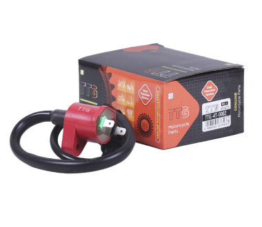 Котушка запалювання + надсвічник - 4T - TTG