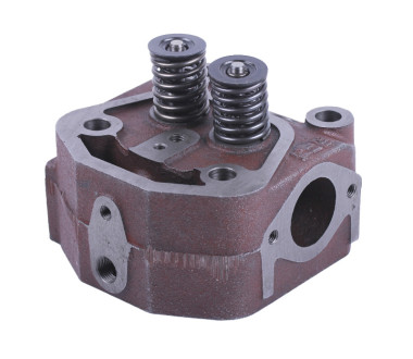 Головка циліндра в зборі - 190N - TTG