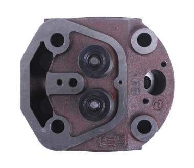 Головка циліндра в зборі - 190N - TTG