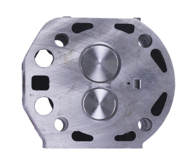 Головка циліндра в зборі - 190N - TTG