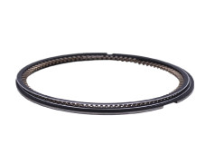 Кільця 69,00 мм STD-250СС