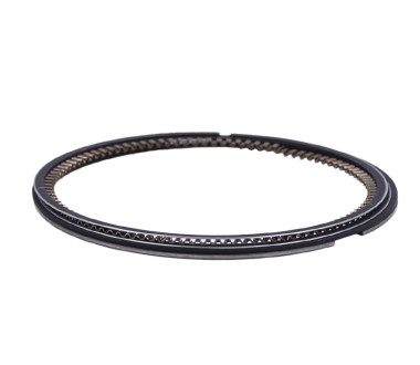 Кільця 69,00 мм STD-250СС