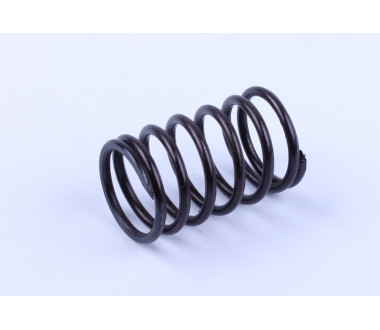 Пружина клапана внутрішня DL190-12 Xingtai 120