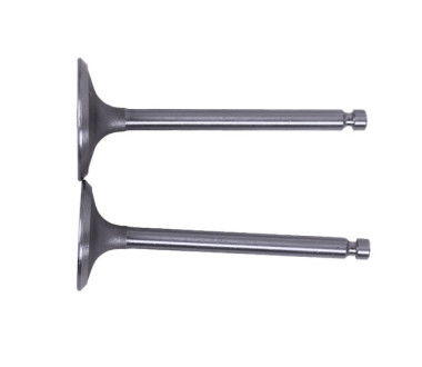 Клапаны TT AGRO MOTO на дизельный двигатель 192D, к-т: 2 шт.
