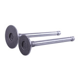 Клапани TT AGRO MOTO на дизельний двигун 170D (2 шт)