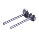 Клапани TT AGRO MOTO на дизельний двигун 170D (2 шт)