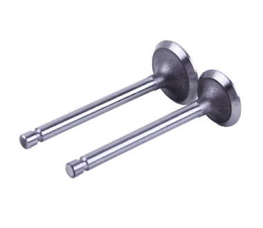 Клапани TT AGRO MOTO на дизельний двигун 170D (2 шт)