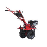 Мотоблок бензиновий TT-ZX100-1 TΛTΛ (редуктор), колесо 4,00*8 двигун 170F (7 к.с.)