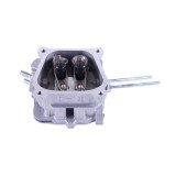 Головка блоку у зборі - 156F YBX