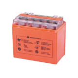 Акумулятор гелевий TT AGRO MOTO YTX12-BS 12(10)АH, 150х87х130 мм на бензиновий генератор, помаранчевий, з дисплеєм