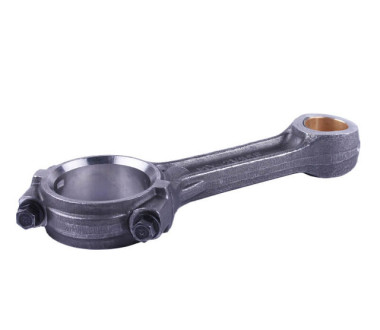 Шатун у зборі - 2V195F