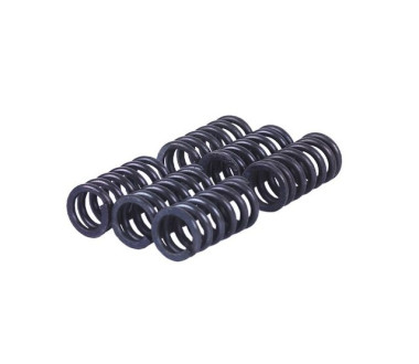 Пружини натискного диска, к-т: 6 шт. - MFC