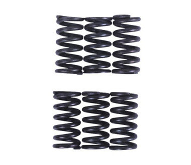 Пружини натискного диска, к-т: 6 шт. - MFC