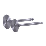 Клапани, к-т: 2 шт. - 192D