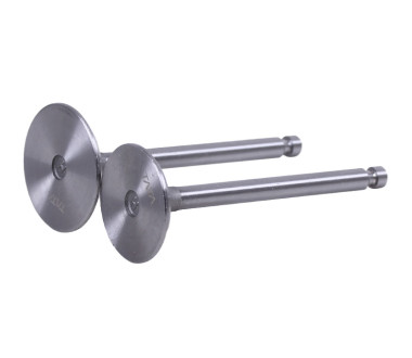 Клапани, к-т: 2 шт. - 192D