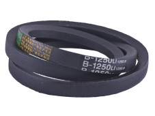 Ремінь В-1250 (L-630 мм*2) - 168F