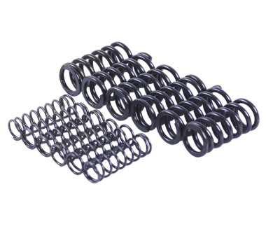 Пружини натискного диска, к-т: 12 шт. - MFC - TTG