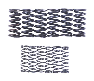 Пружини натискного диска, к-т: 12 шт. - MFC - TTG