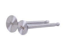 Клапаны, диаметр 7 мм, к-т: 2 шт. - 180N - TTG