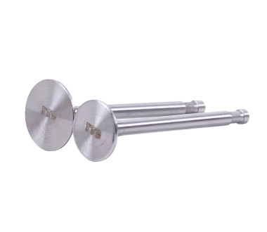 Клапани, діаметр 7 мм, к-т: 2 шт. - 180N - TTG