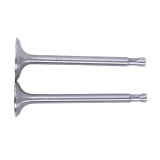 Клапани, діаметр 7 мм, к-т: 2 шт. - 180N - TTG