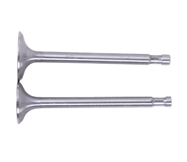 Клапани, діаметр 7 мм, к-т: 2 шт. - 180N - TTG