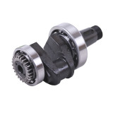 Колінвал у зборі (підшипники 6310/6210, шестерня) - 180N - TTG