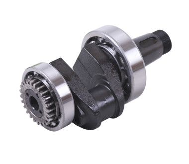 Колінвал у зборі (підшипники 6310/6210, шестерня) - 180N - TTG