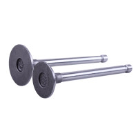 Клапаны TT AGRO MOTO на дизельный двигатель 170D (2 шт)