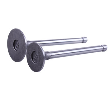 Клапаны, к-т: 2 шт. - 170D