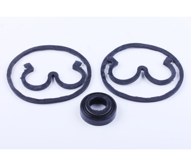 Ремкомплект НШ Xingtai 120/220