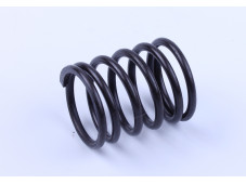 Пружина клапана наружная DL190-12 Xingtai 120