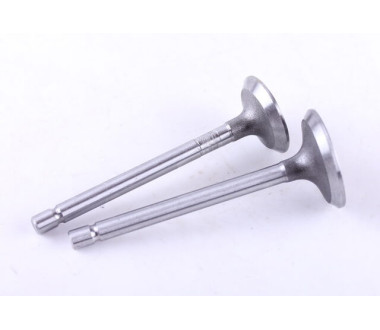 Клапани, к-т: 2 шт. - 178F - Premium