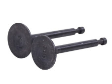 Клапани TT AGRO MOTO на бензиновий двигун 168F/170F, к-т: 2 шт.