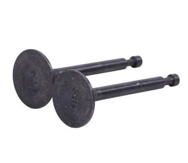 Клапаны TT AGRO MOTO на бензиновый двигатель 168F/170F, к-т: 2 шт.