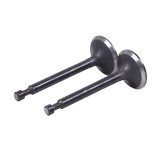 Клапаны TT AGRO MOTO на бензиновый двигатель 168F/170F, к-т: 2 шт.