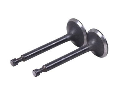 Клапаны TT AGRO MOTO на бензиновый двигатель 168F/170F, к-т: 2 шт.
