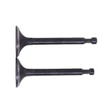 Клапаны TT AGRO MOTO на бензиновый двигатель 168F/170F, к-т: 2 шт.