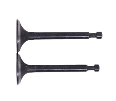 Клапаны TT AGRO MOTO на бензиновый двигатель 168F/170F, к-т: 2 шт.